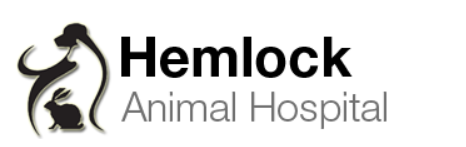 It Is Easy To Get Your Pet In Vancouver To The Veterinarian Emergency Because Of The Vet Med Ctr  ...
